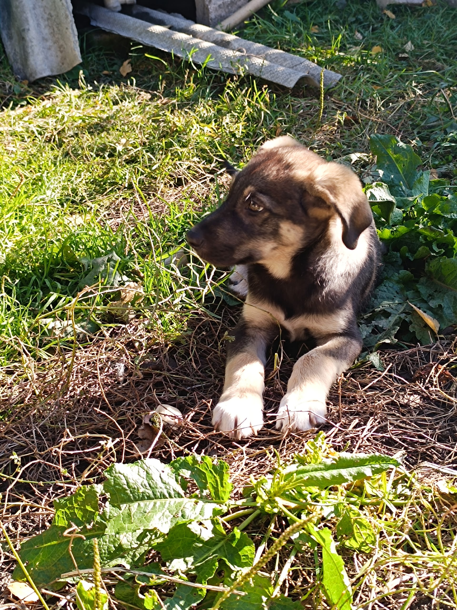 Ищу дом: Ивановская область Меня (3)