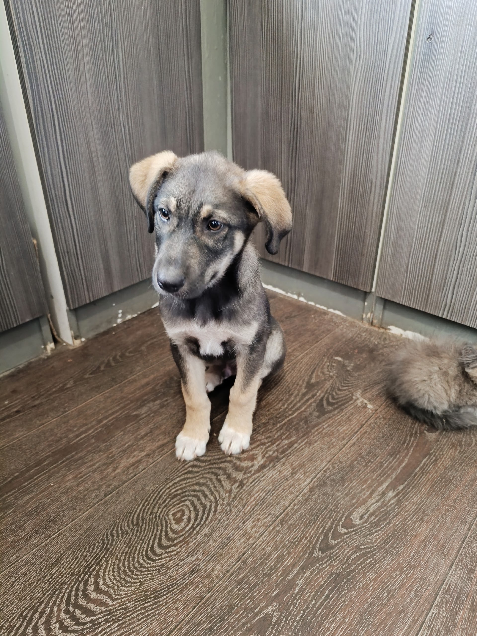 Ищу дом: Ивановская область Меня