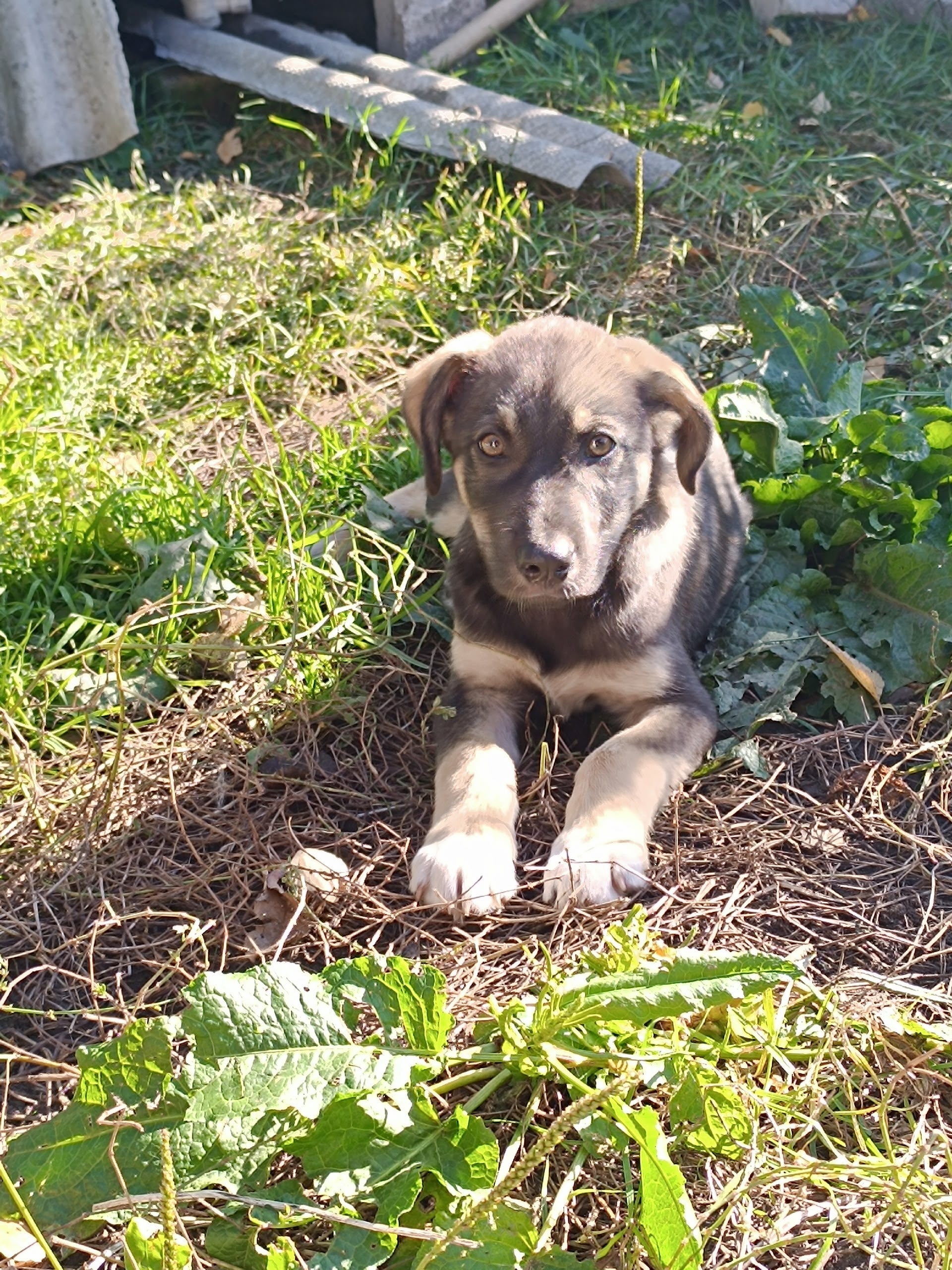 Ищу дом: Ивановская область Меня (2)
