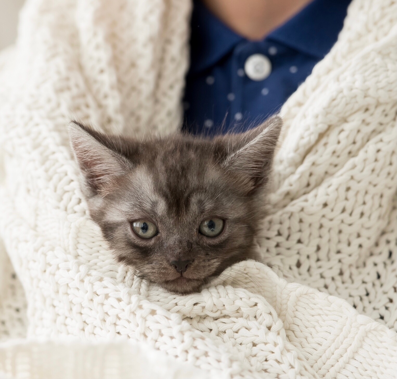 Нежная малышка редкой окраски ищет