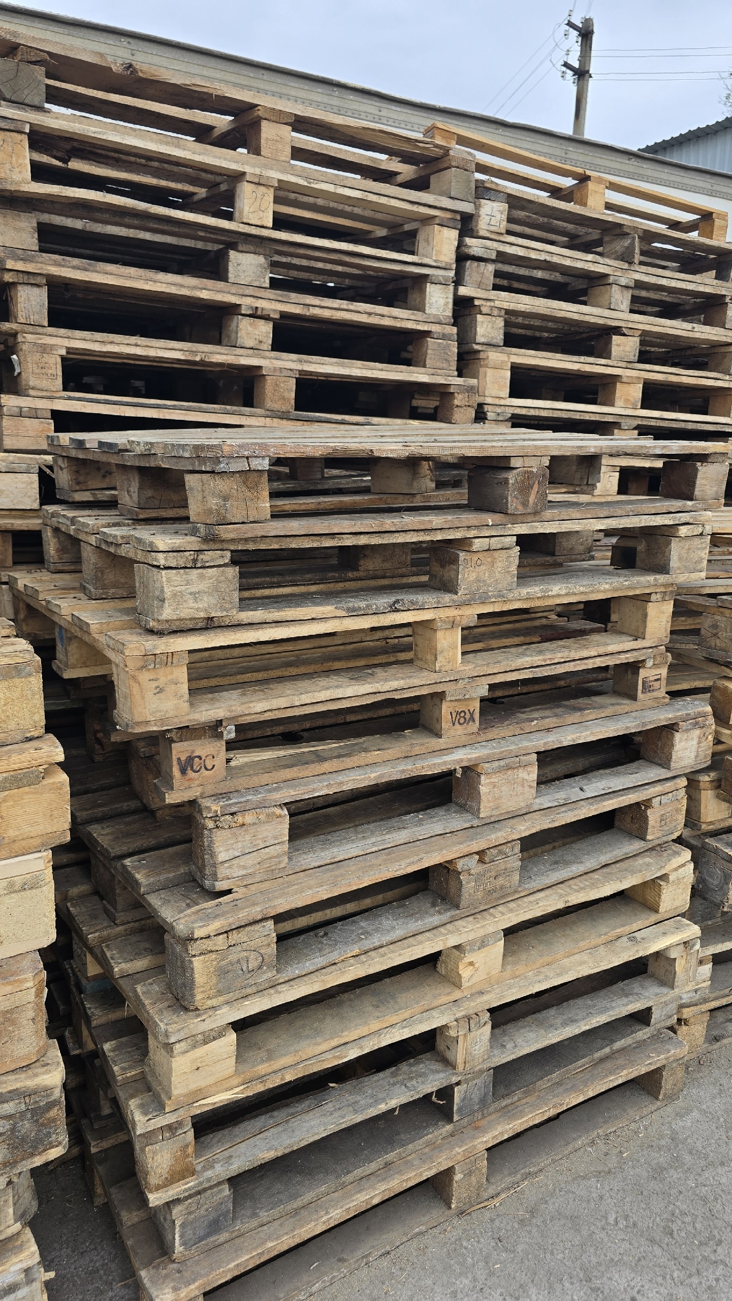 Продажа деревянных поддонов 120x80x15 см (1)