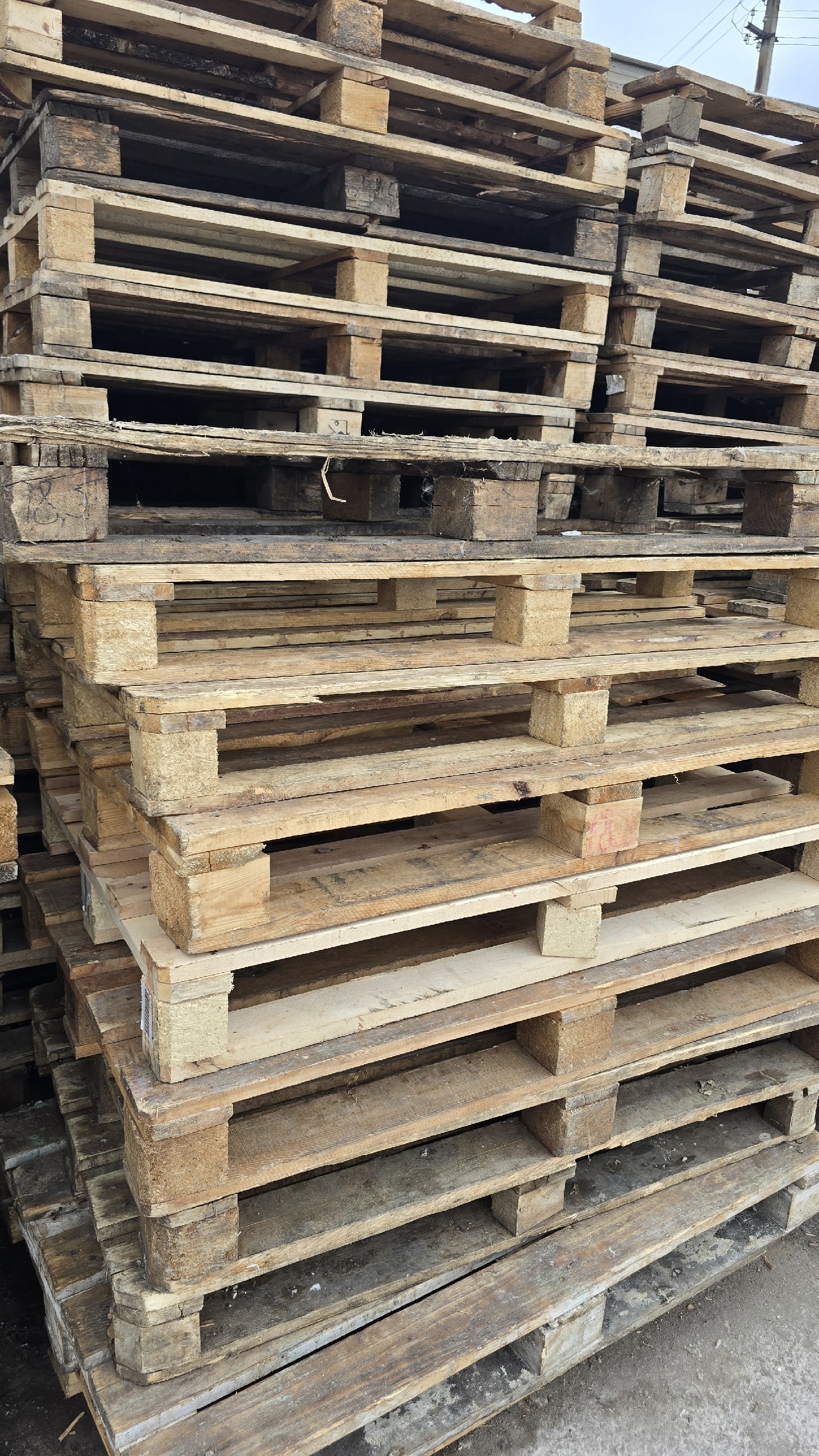 Продажа деревянных поддонов 120x80x15 см (2)