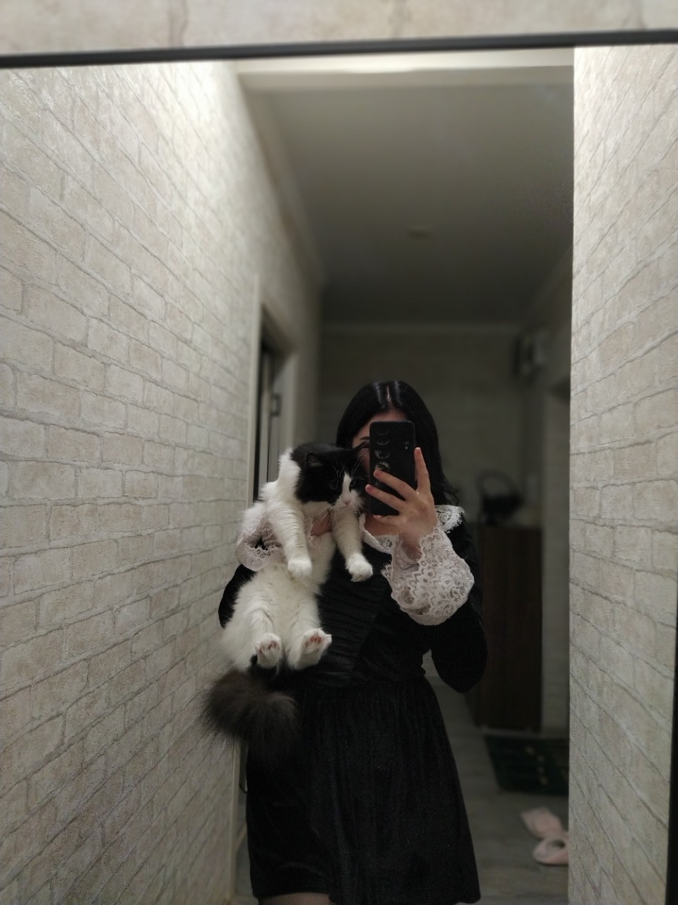 Отдам кастрированного кота бесплатно Ищем (1)