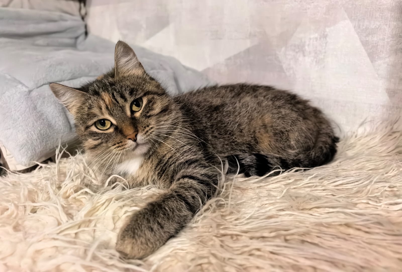 Соня ищет безопасный дом Юная (1)