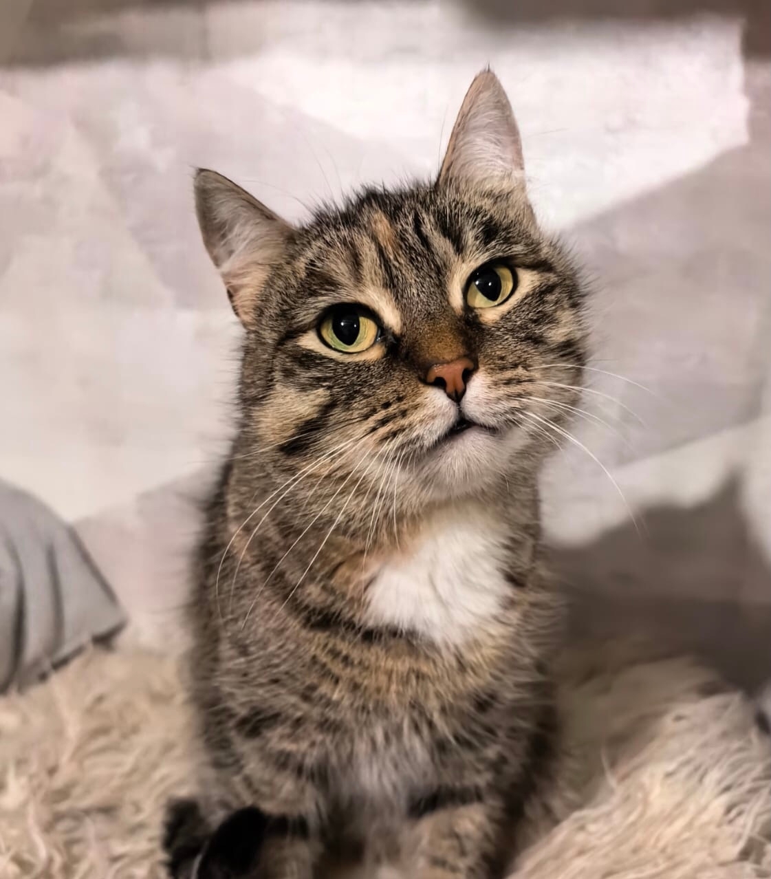 Соня ищет безопасный дом Юная