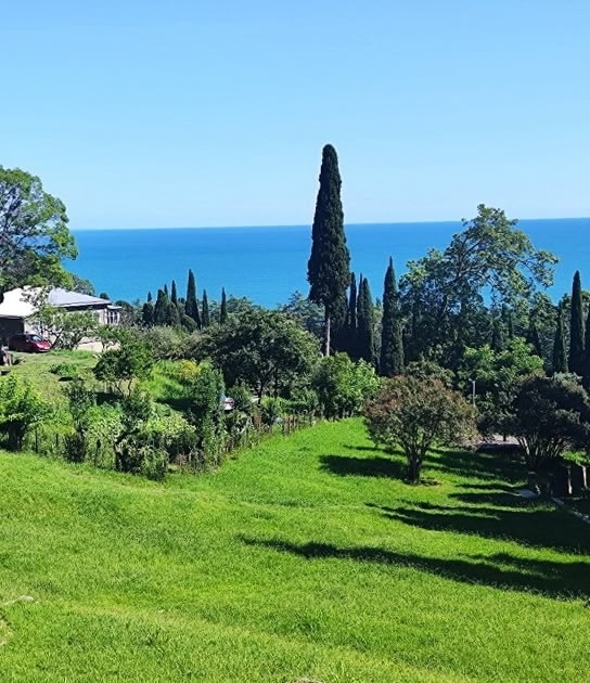 Оформление недвижимости в Абхазии В (1)