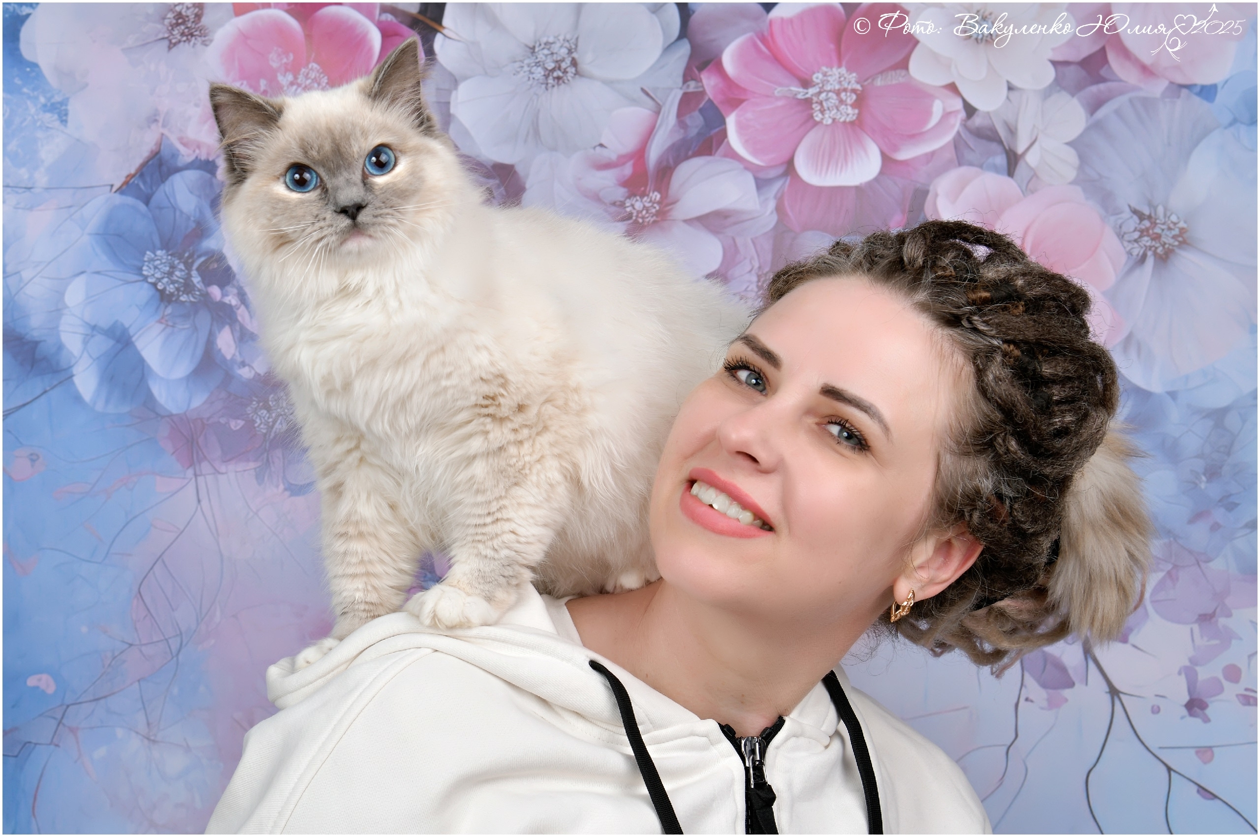 Ищете КотоПса? Найдите его здесь.