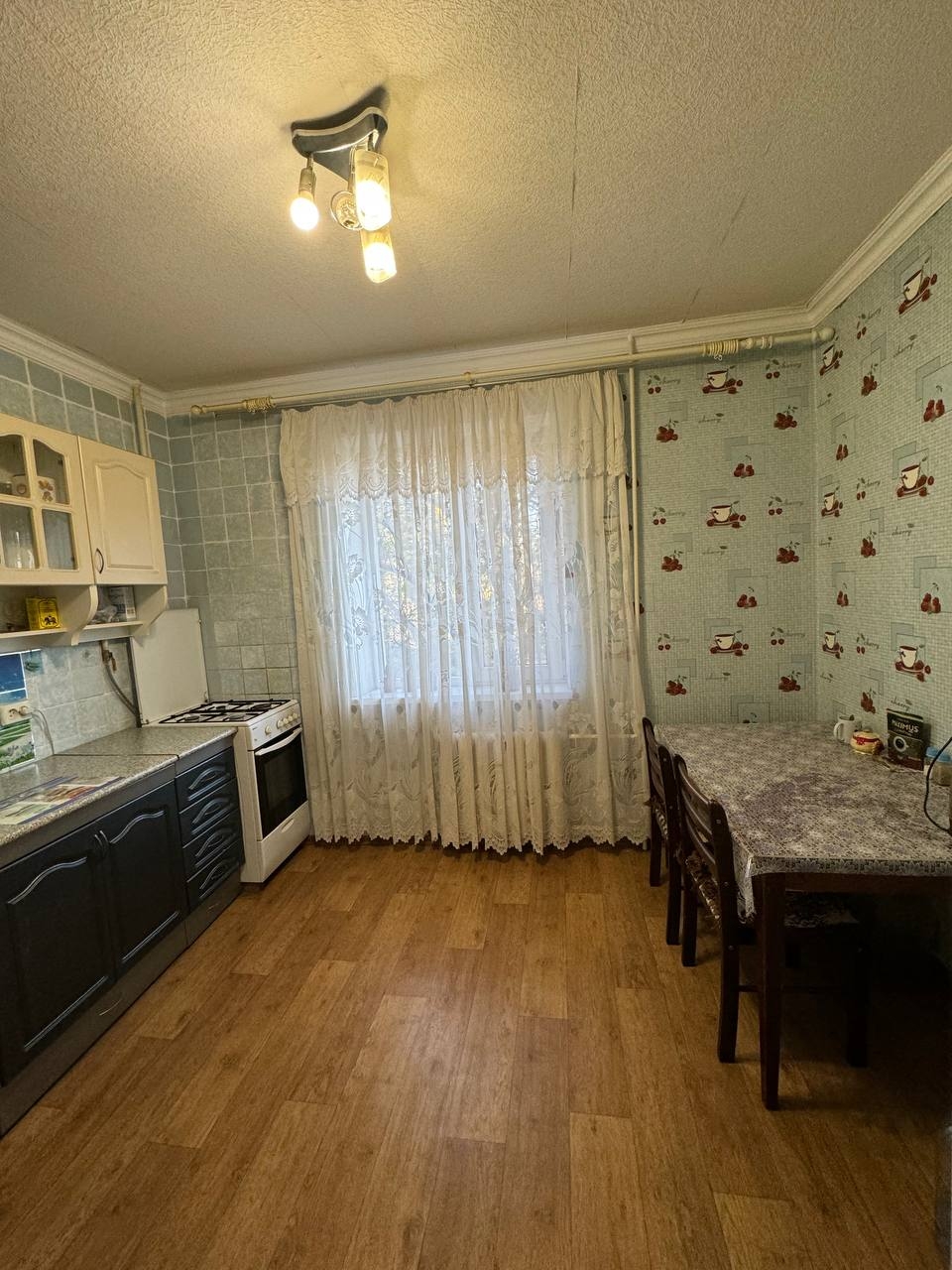 Просторная однокомнатная квартира в Киевском (3)