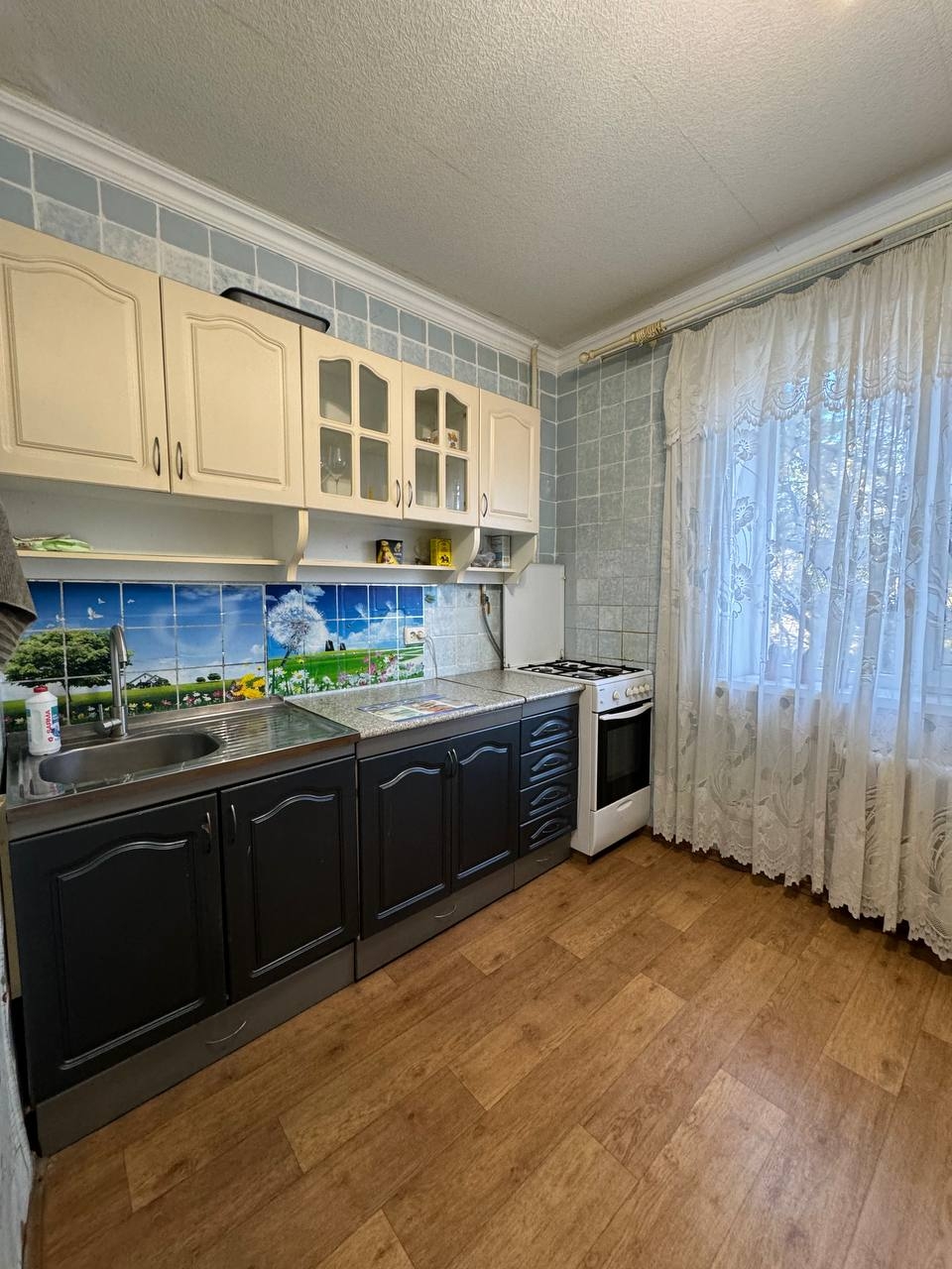 Просторная однокомнатная квартира в Киевском (2)