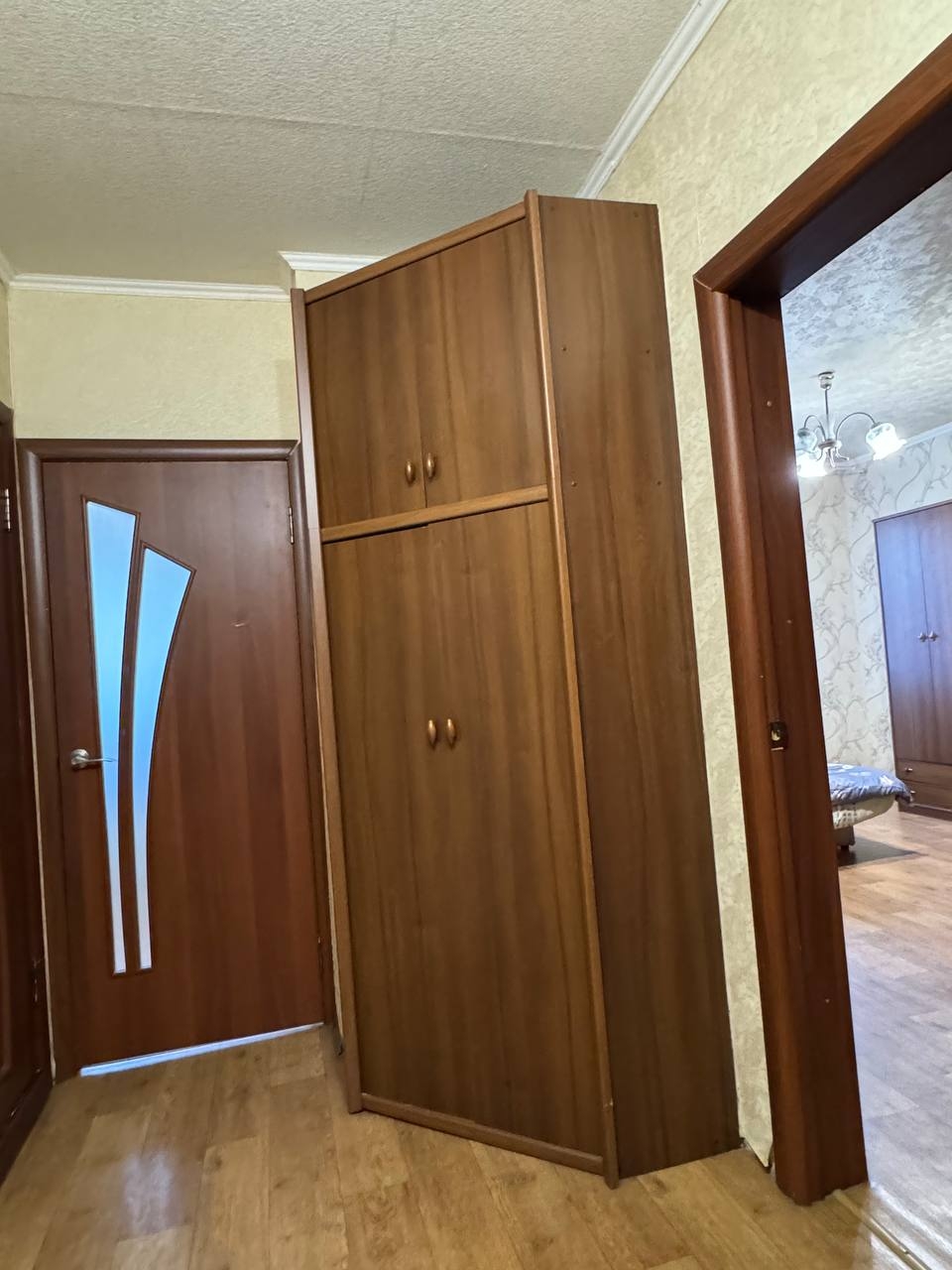 Просторная однокомнатная квартира в Киевском (5)