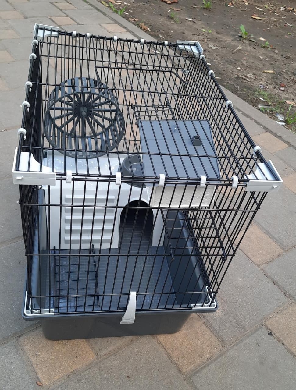 Продажа хомяков и клеток недорого (7)