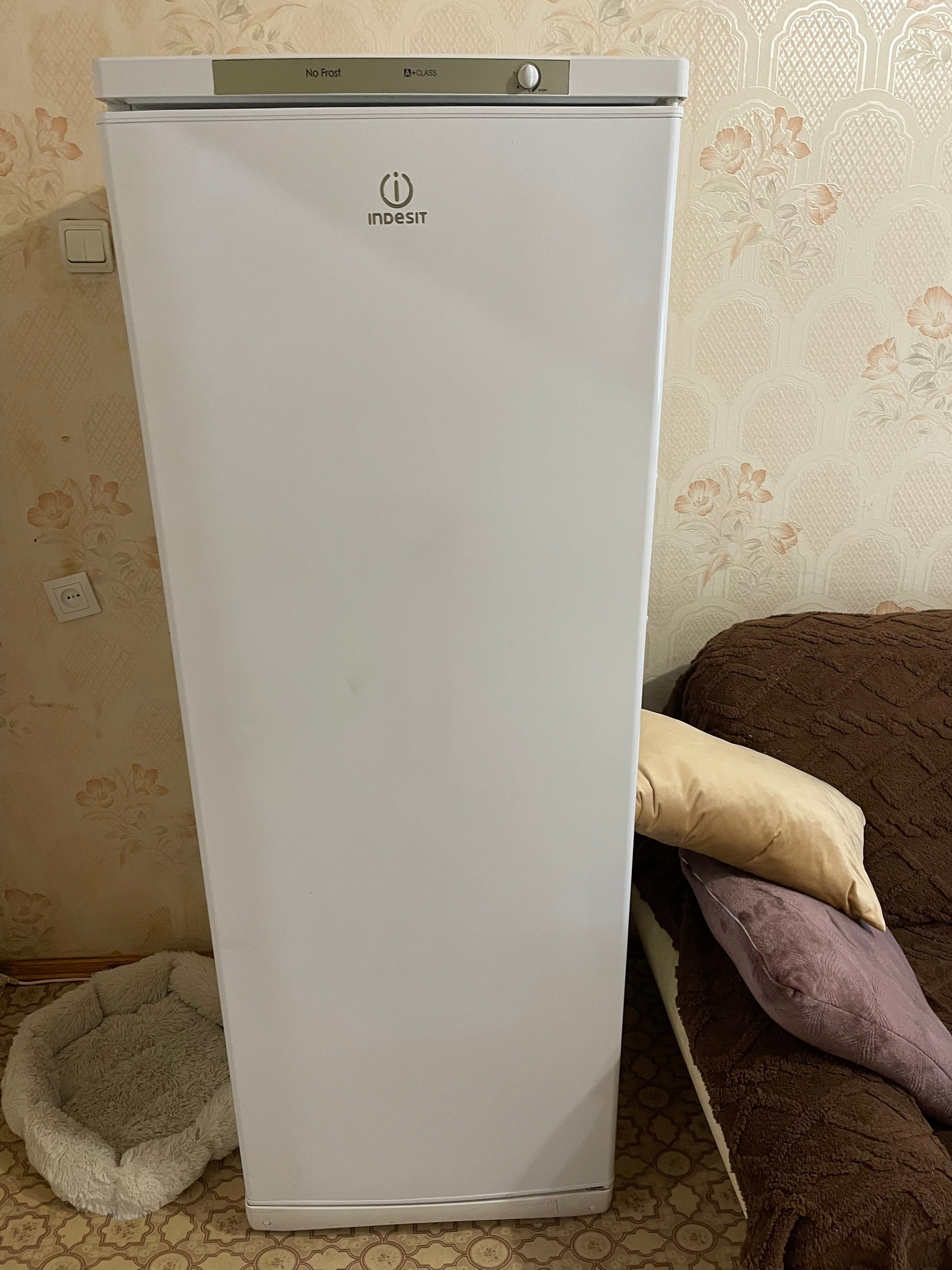 Продажа морозильной камеры сухой заморозки (3)