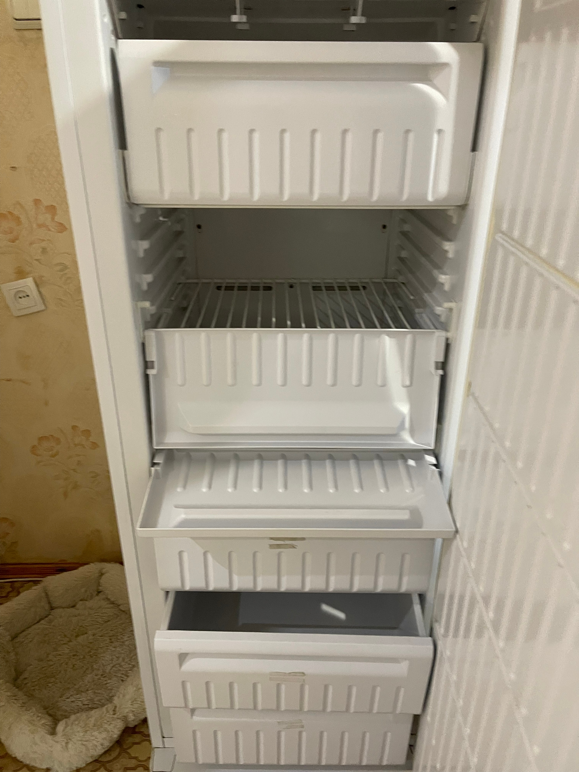 Продажа морозильной камеры сухой заморозки