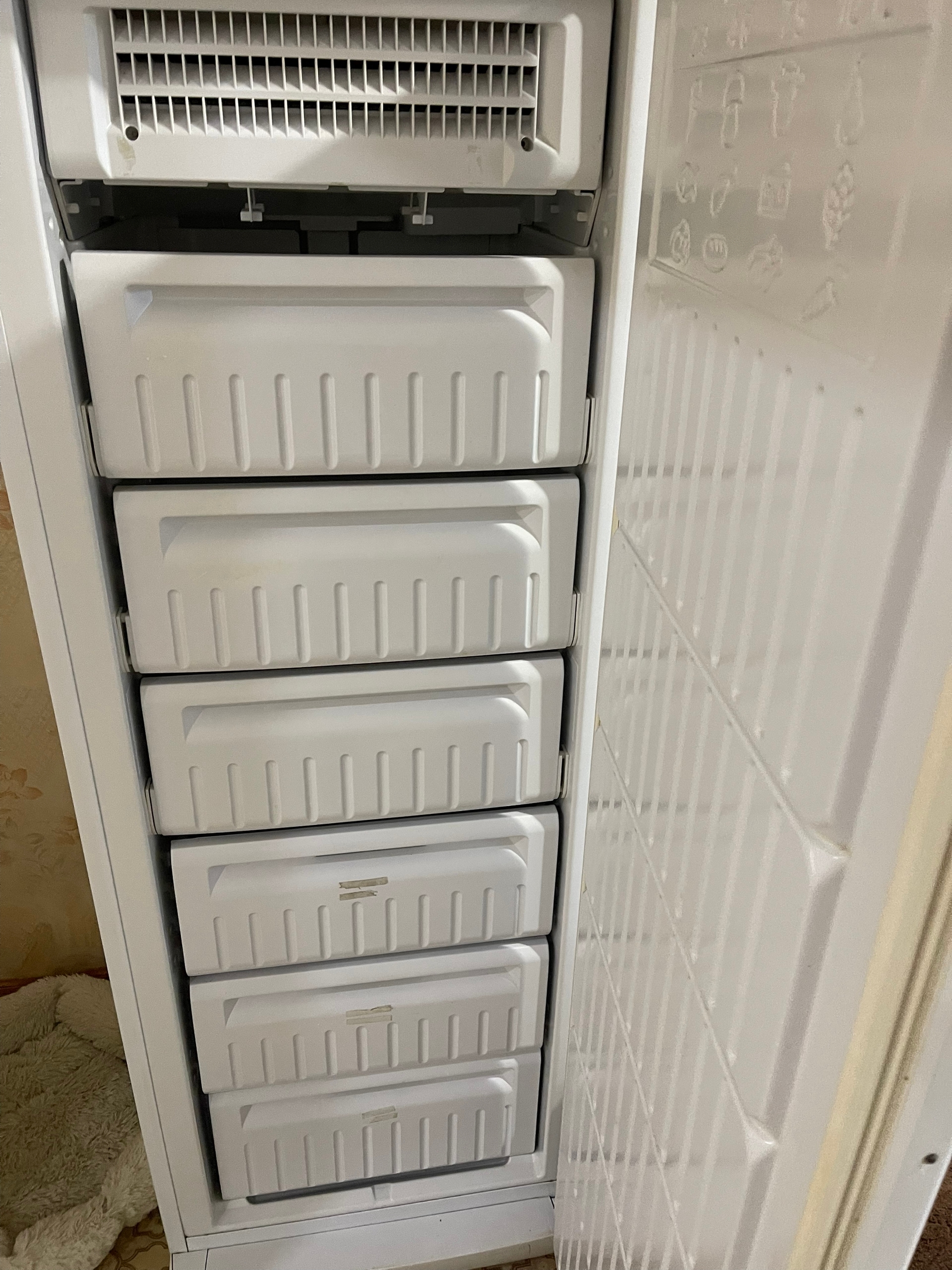 Продажа морозильной камеры сухой заморозки (2)