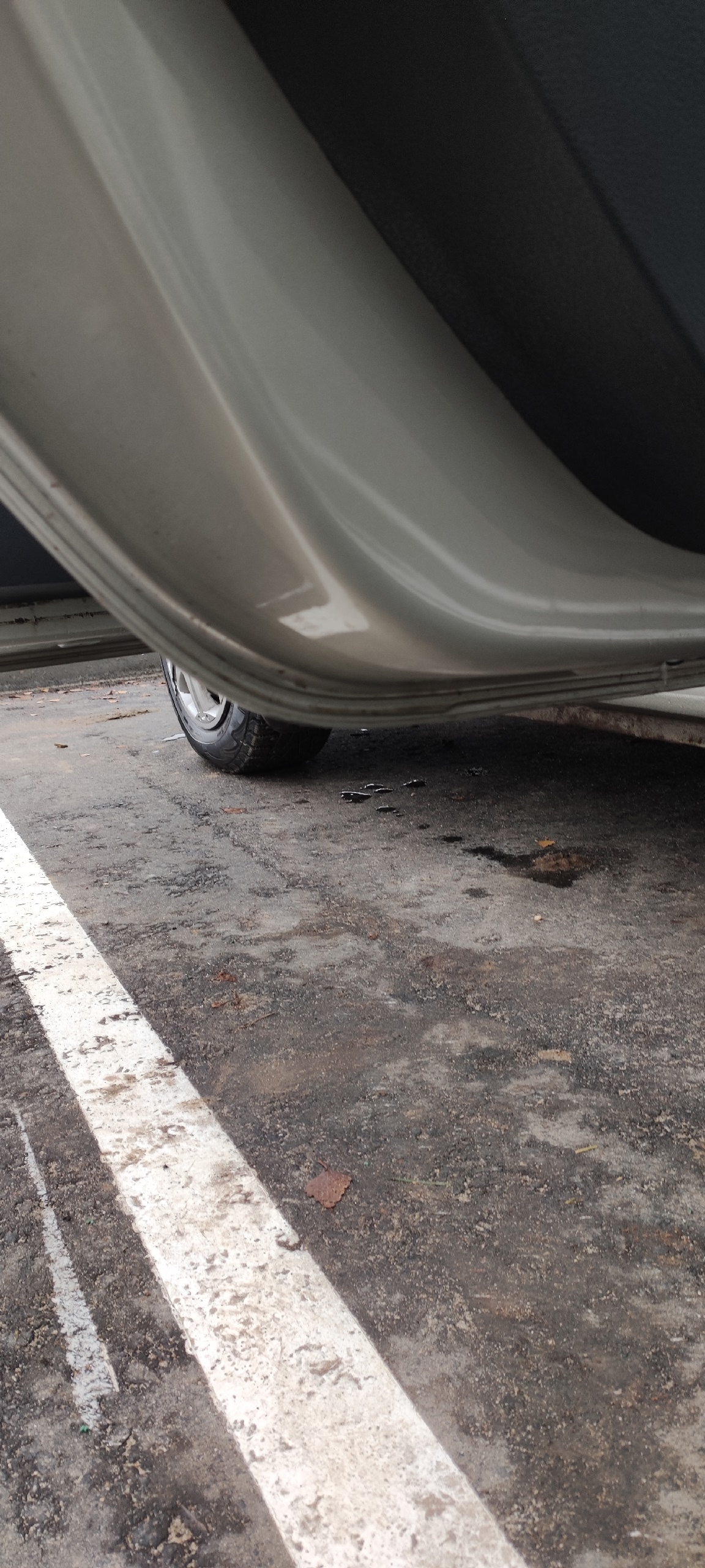 Продам Renault Sander 2015 Объявление (5)