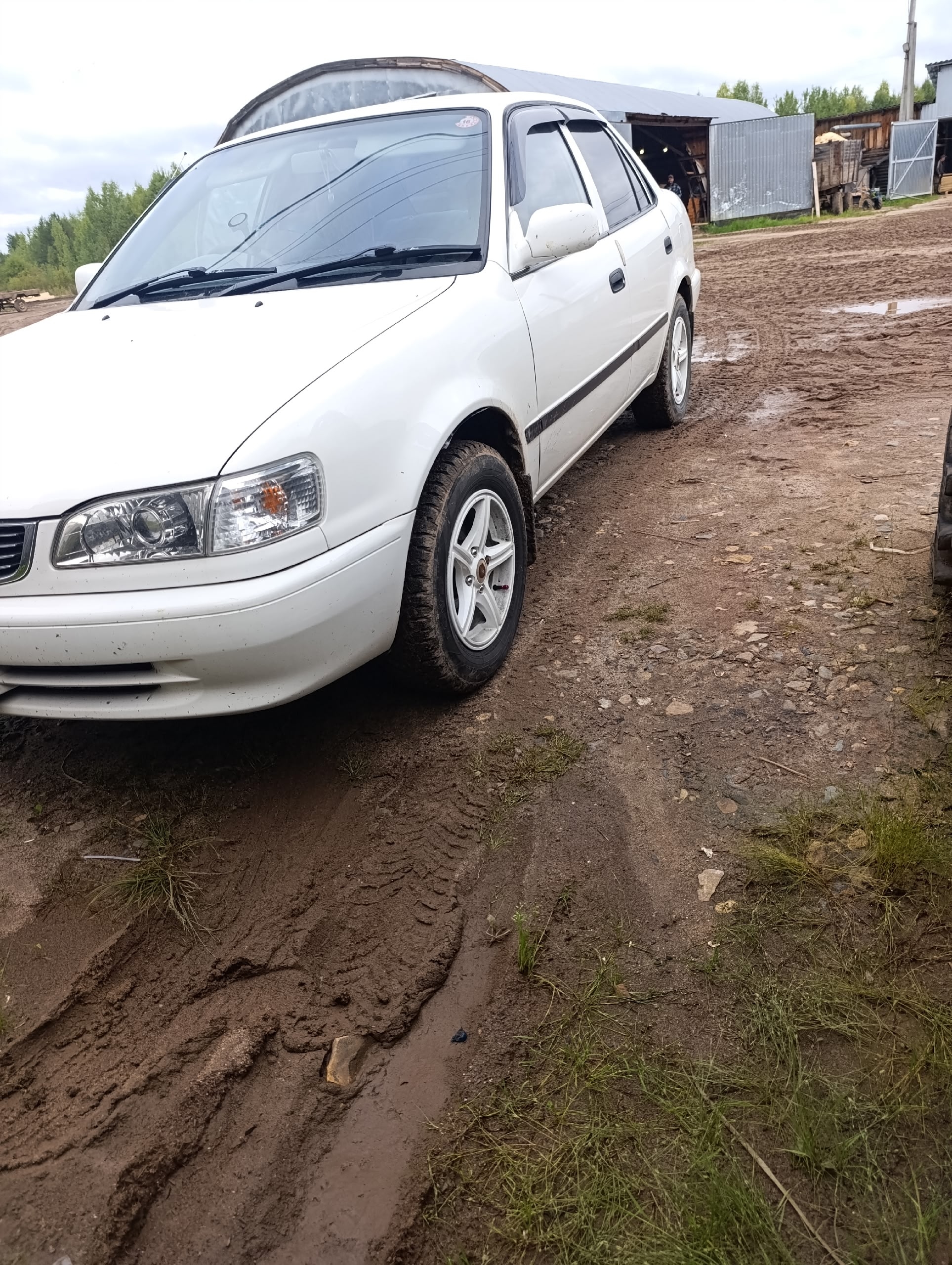 Продажа Toyota Corolla в отличном (1)