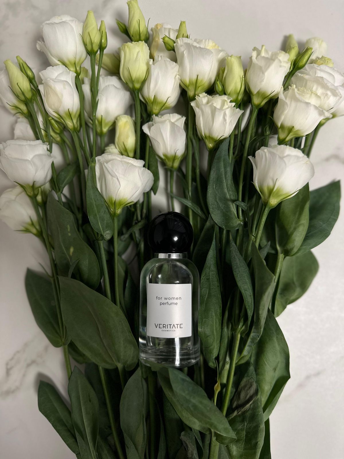 Приглашаем в новую компанию Мы