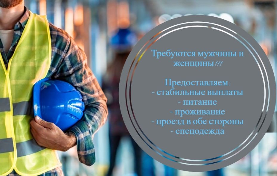 Прямой работодатель ищет сотрудников На