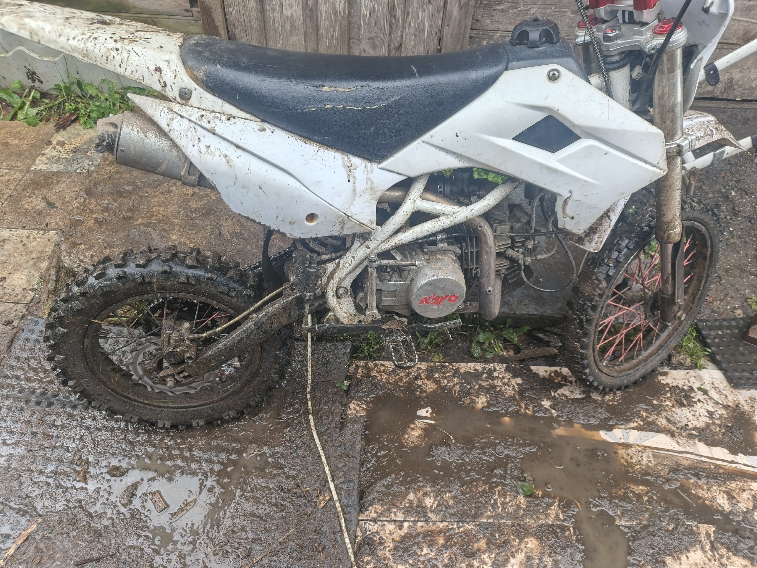 Продается питбайк KAYO 140 кубов (5)