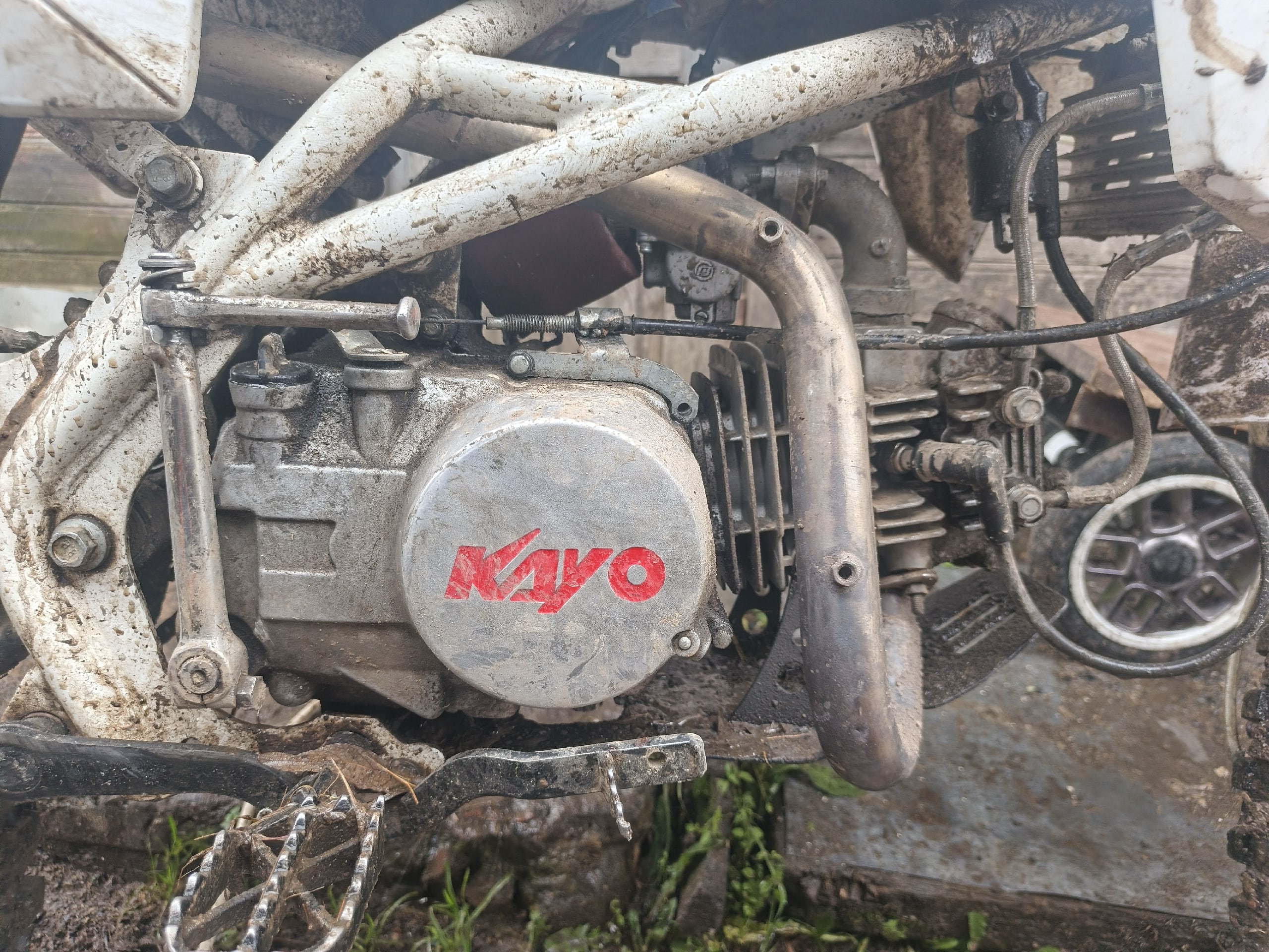 Продается питбайк KAYO 140 кубов (4)