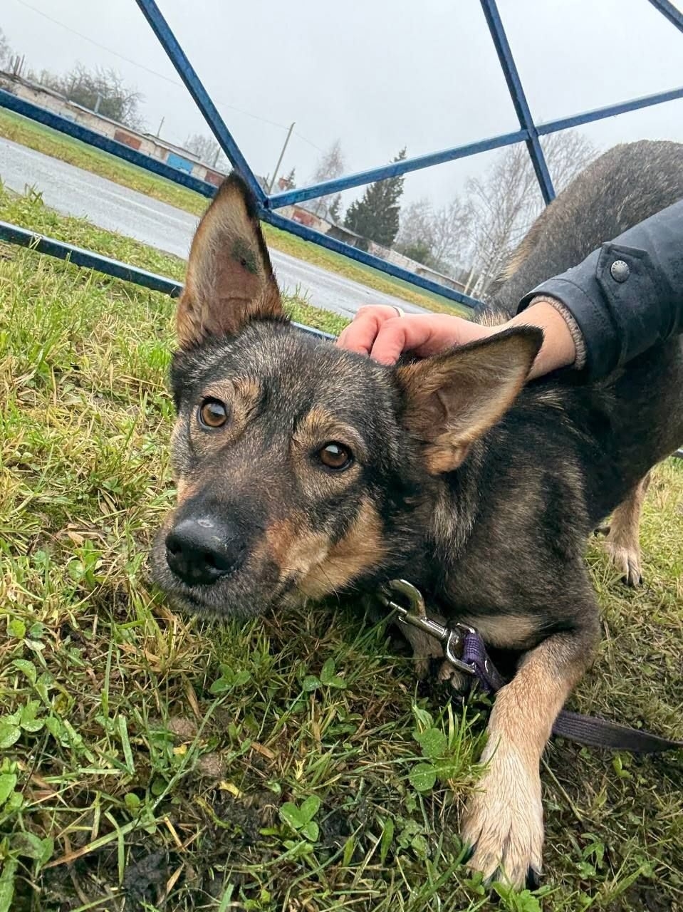 ЛЯЛЯ ИЩЕТ СВОЙ ДОМ В (1)