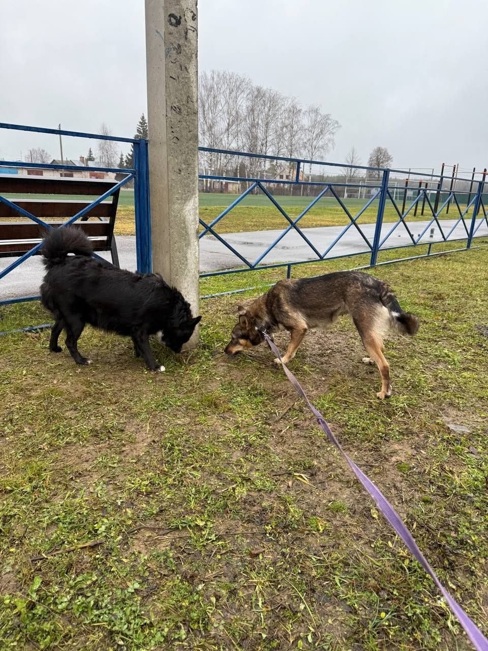 ЛЯЛЯ ИЩЕТ СВОЙ ДОМ В (6)