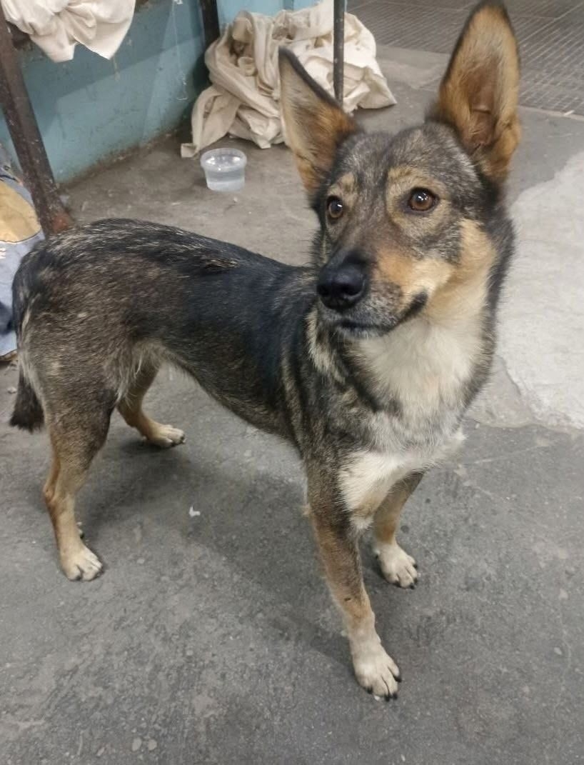 ЛЯЛЯ ИЩЕТ СВОЙ ДОМ В (3)