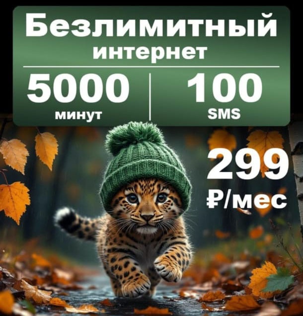 ### Выгодные тарифы для вашего (5)