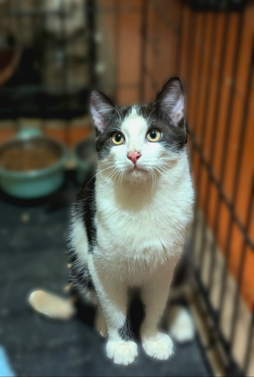 Брюс из Казани ищет дом (2)