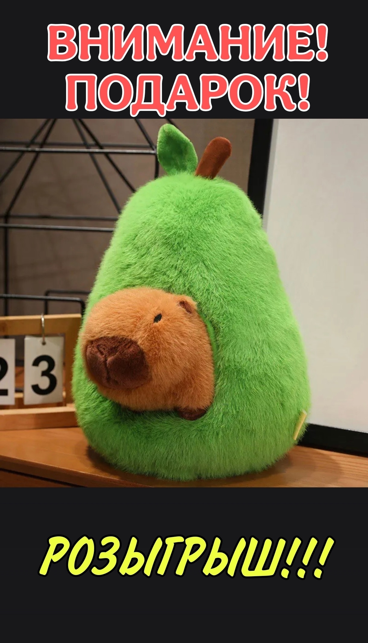 Продажа нового свитшота The North (2)