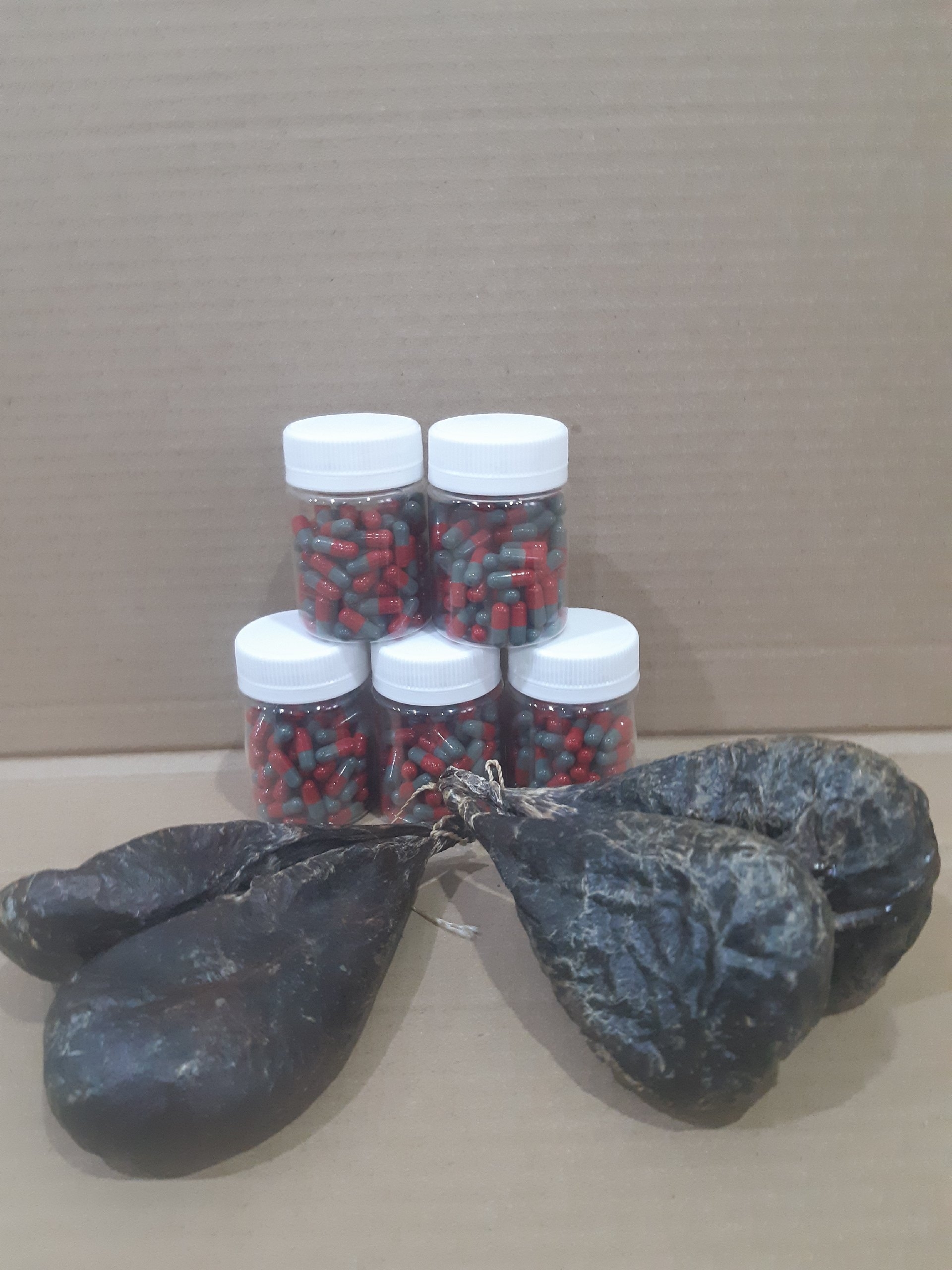 Капсулы с экстрактом бобра: продажа