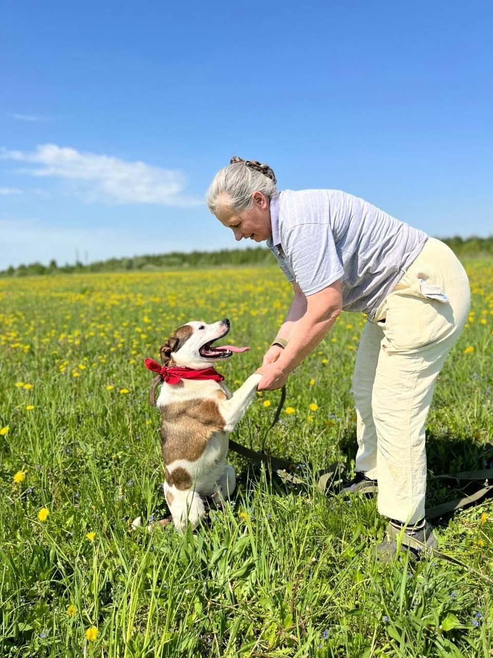 ### Молодой и энергичный пес (1)
