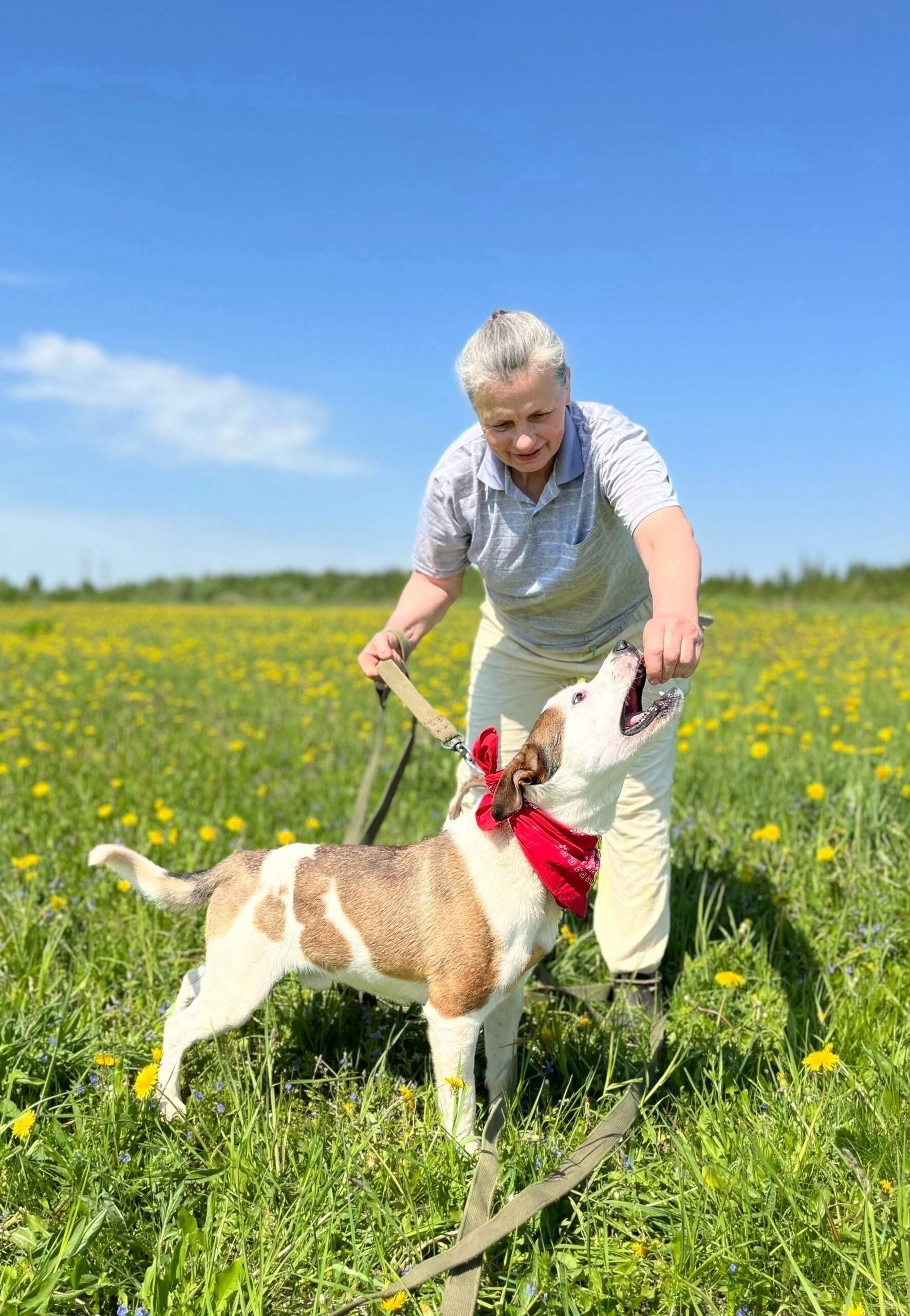 ### Молодой и энергичный пес (5)