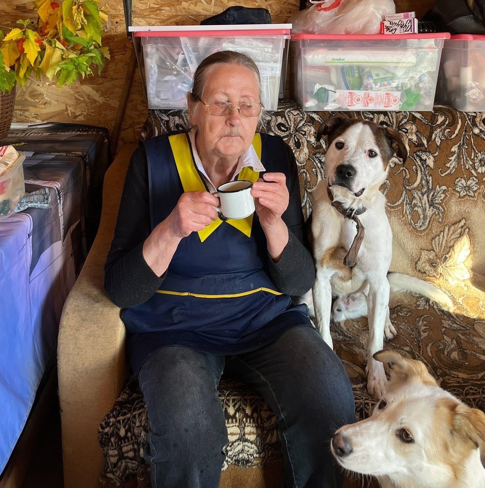 ### Молодой и энергичный пес (4)