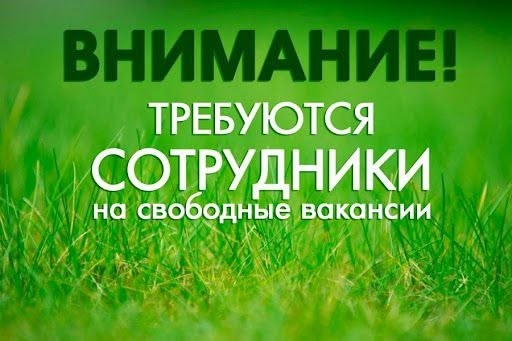 ✅ Директор магазина График 5/2