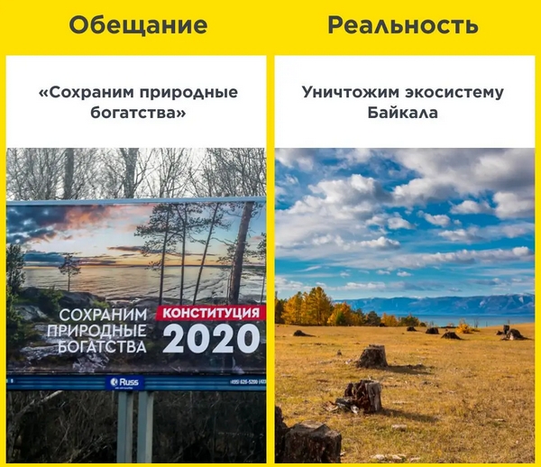 Госдума cобиpaется paзрeшить вырyбать лес