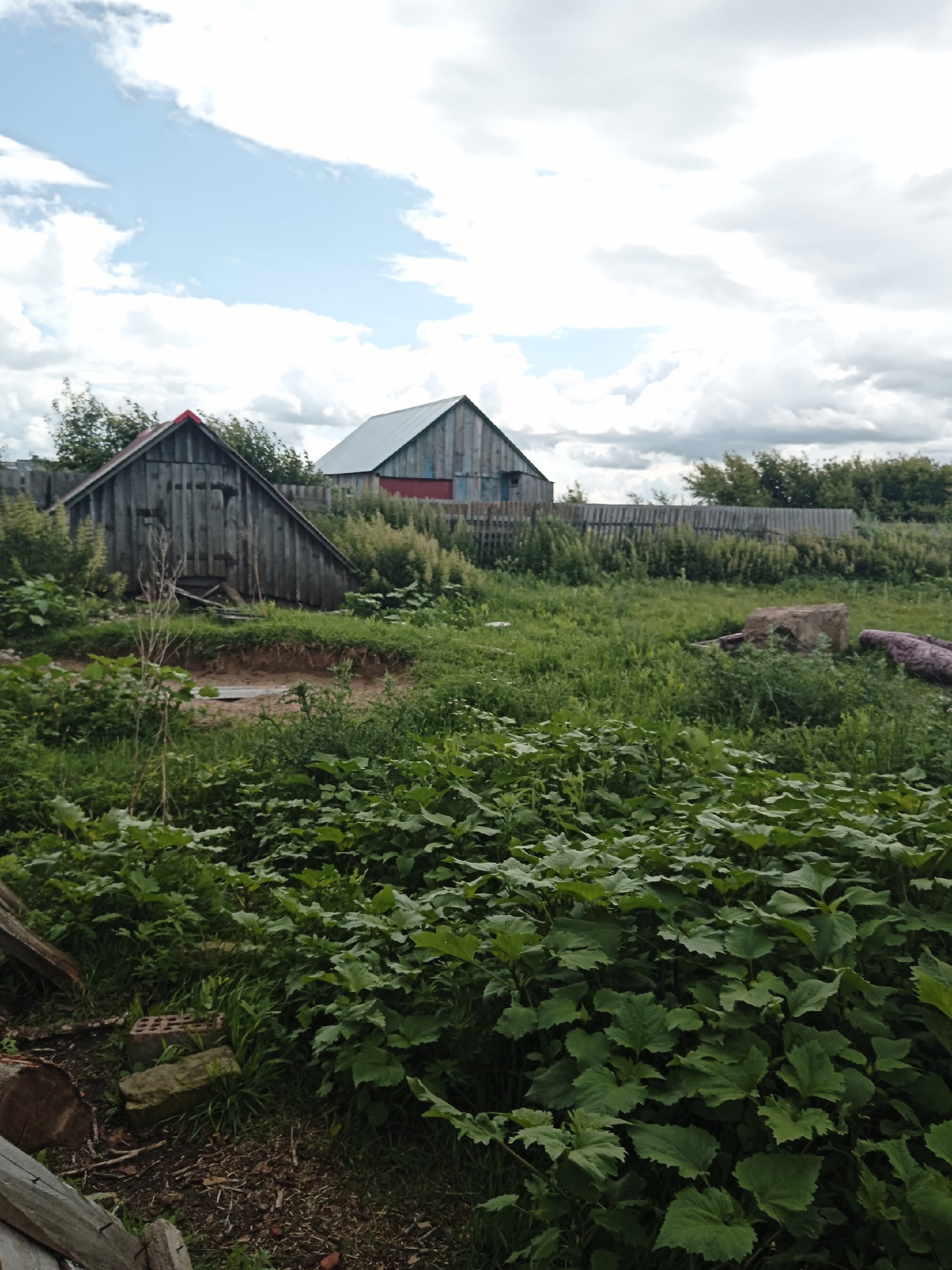 🏡Дом кирпичный, гараж, баня, сарай, (1)