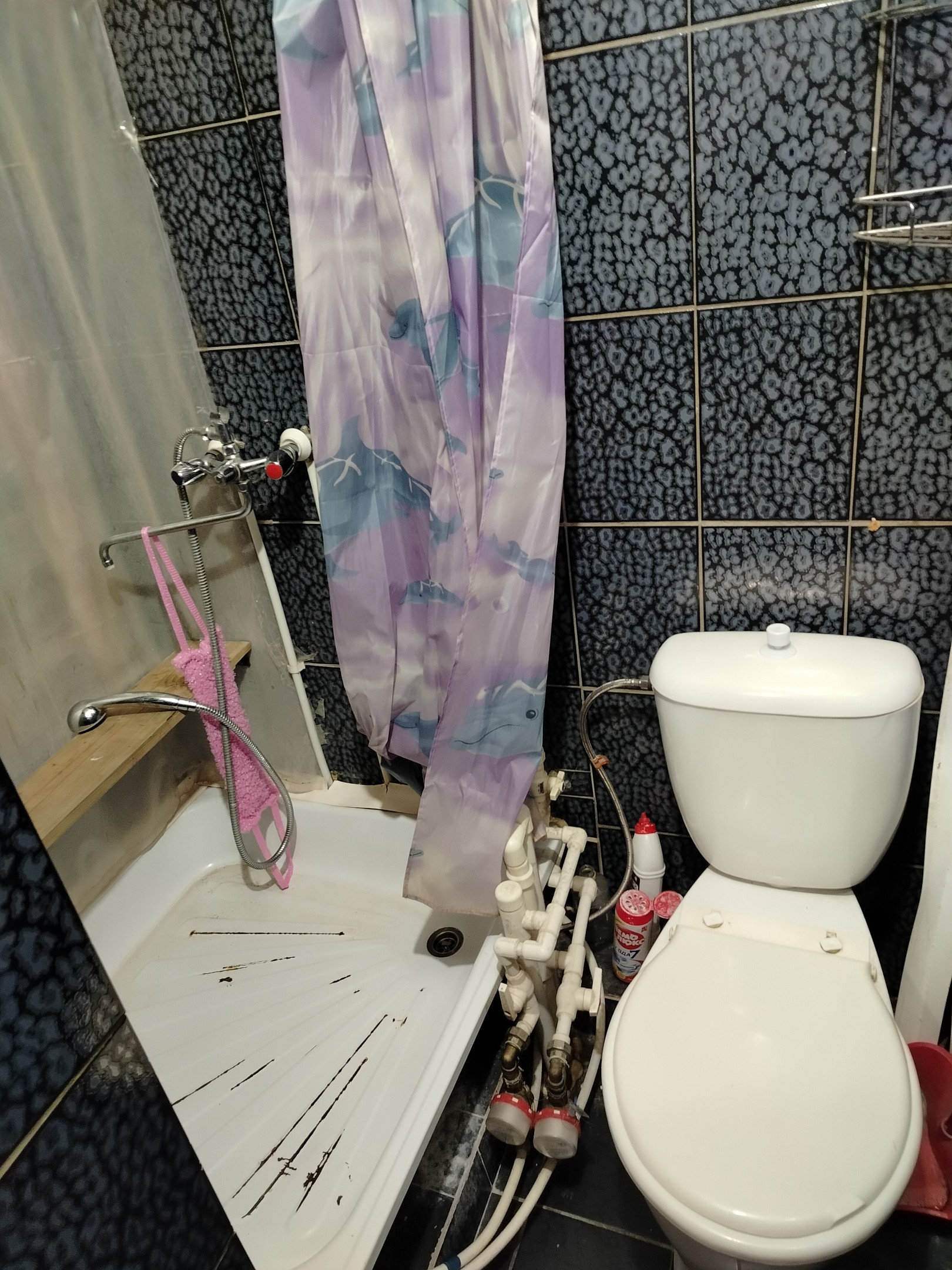 Сдам 1-к квартиру на Мориса (8)