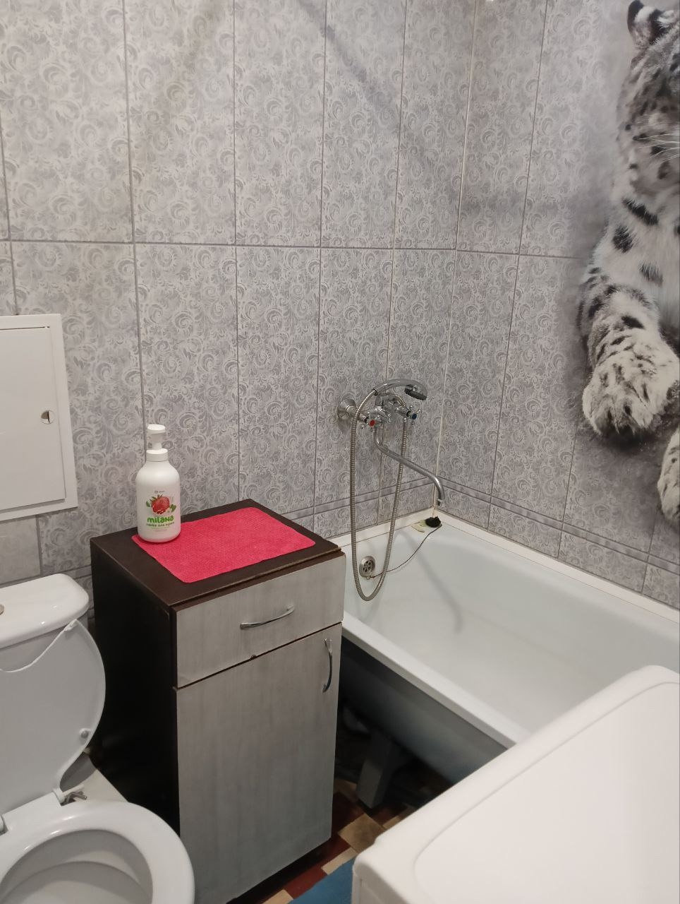 Сдается 1-комнатная квартира на 2 (6)