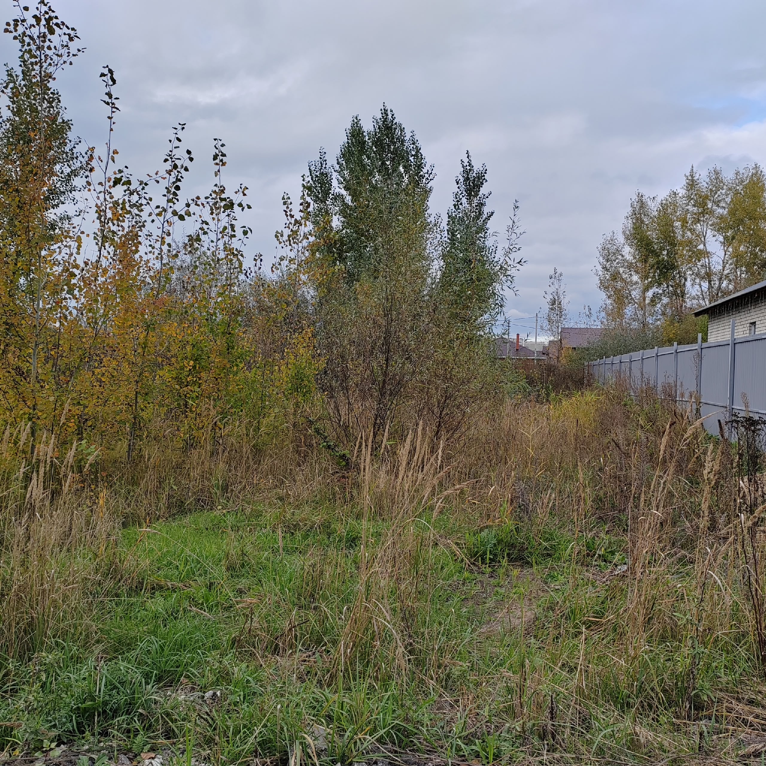 Продам участок ИЖС, один взрослый (3)