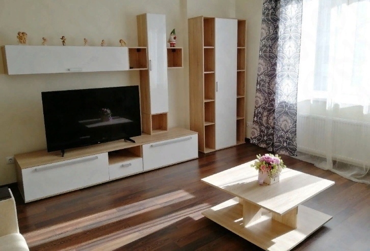 Сдам 1-ую квартиру на длительный (1)