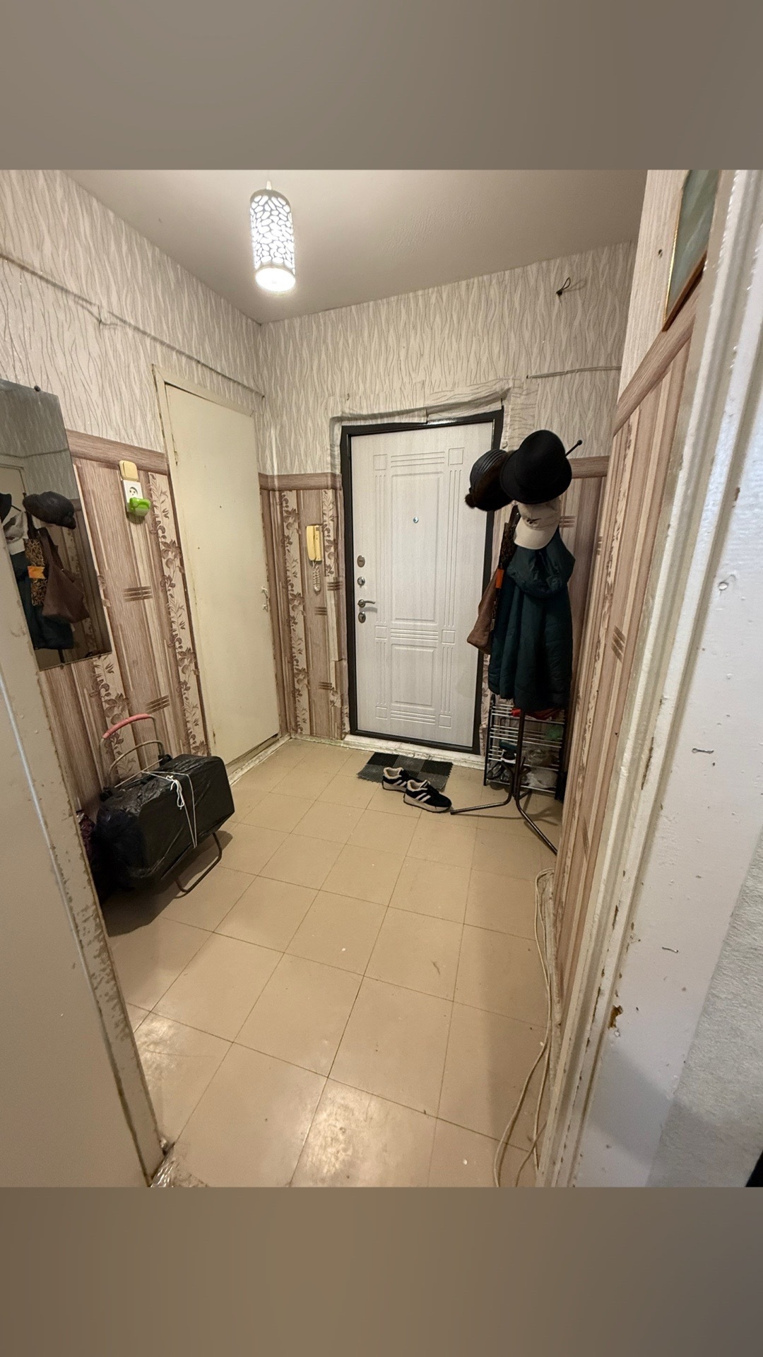 Сдается 1 КВ ул. Осипенко (1)