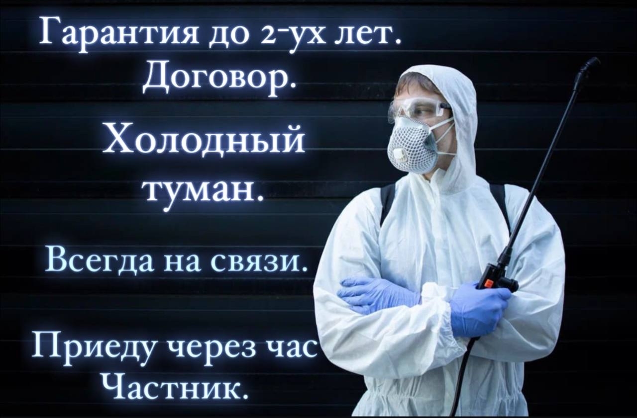 Устали от ТАРАКАНОВ, КЛОПОВ, МЫШЕЙ