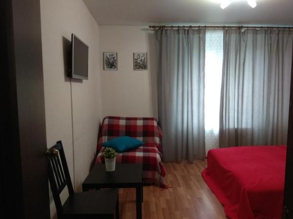 Сдается чистая и светлая однокомнатная (2)