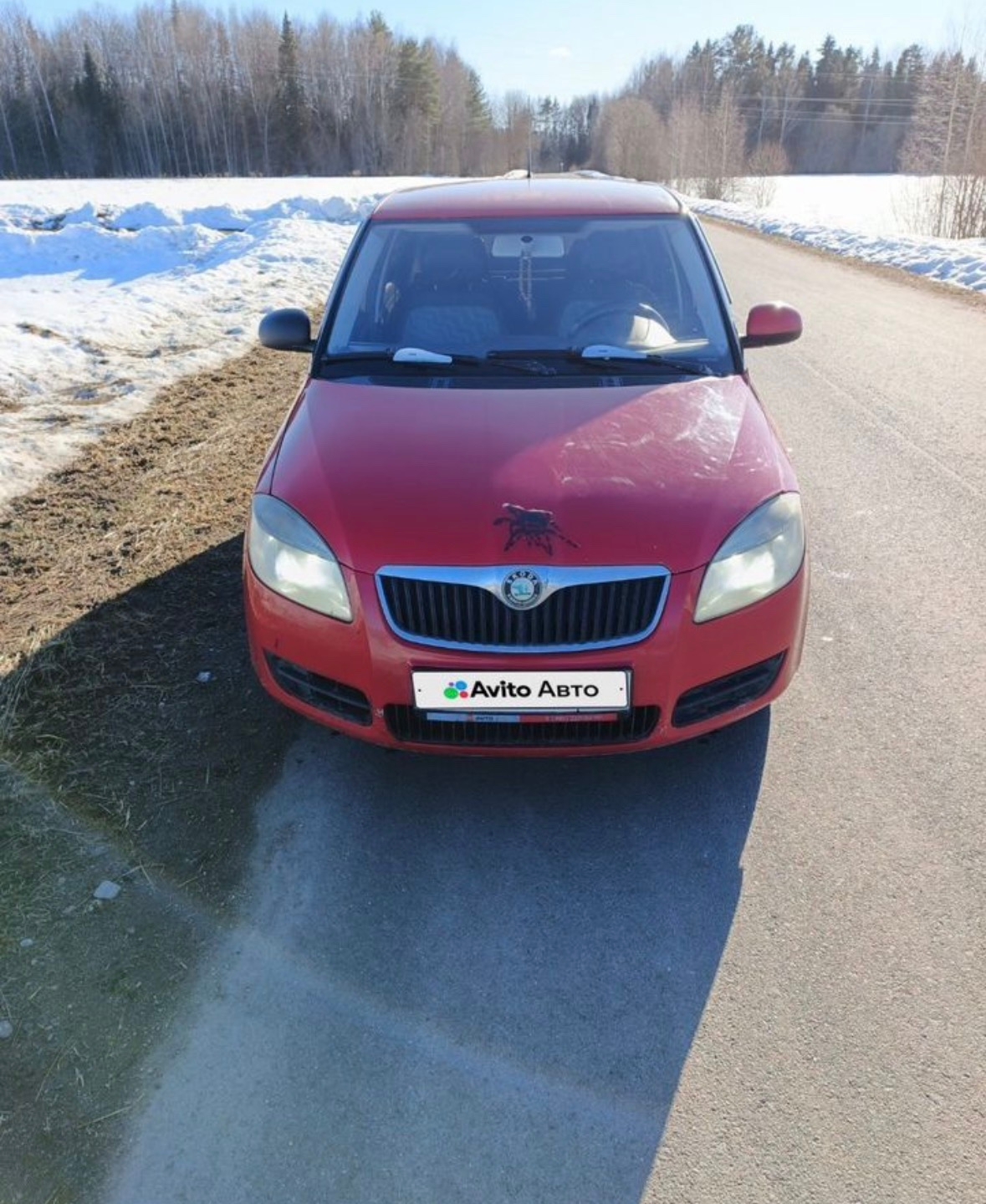 Skoda Fabia 1.2 TM 2007 (2)