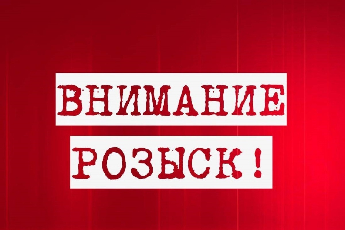Пропала собачка Муха 6 лет. (2)