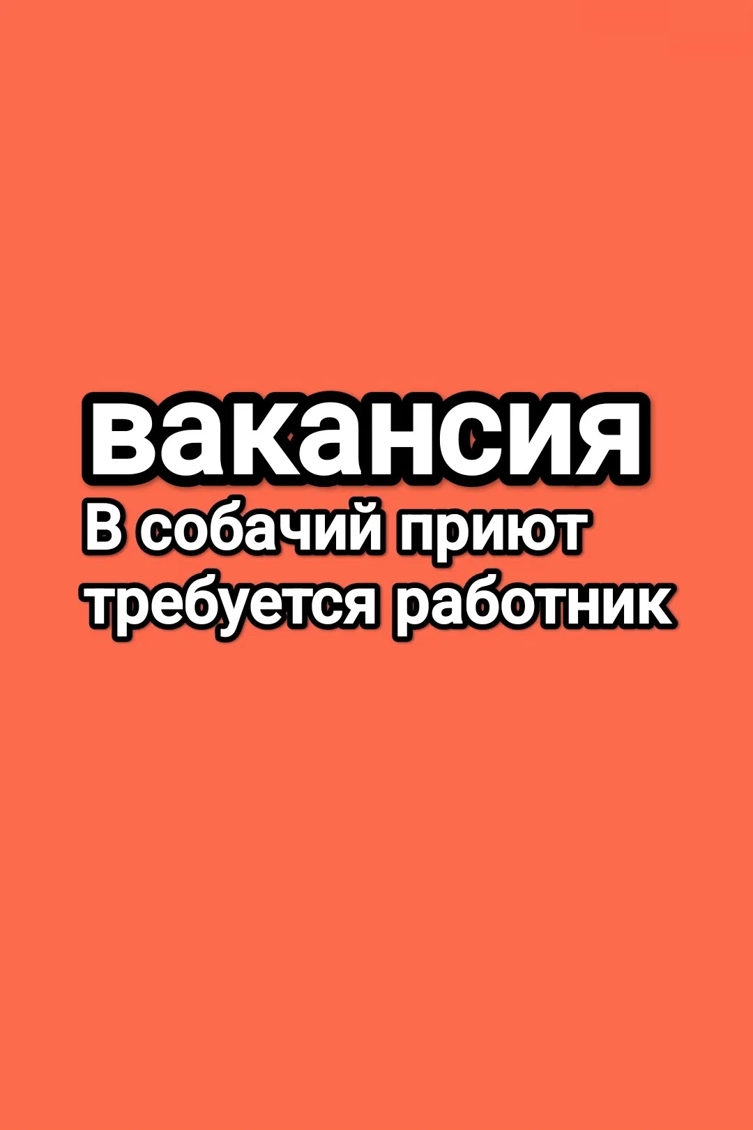 Собачий приют «Верный друг» Краснообск.