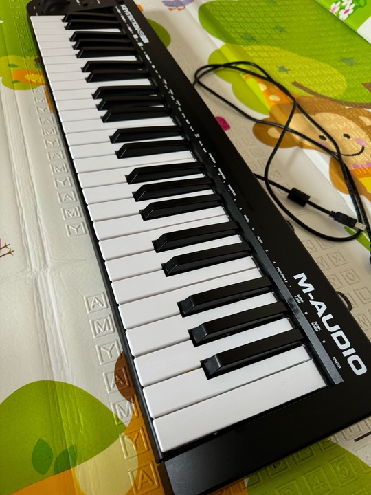 Продам срочно

Клавиатура MIDI M-Audio Keystation (1)