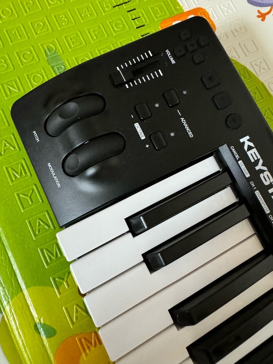 Продам срочно

Клавиатура MIDI M-Audio Keystation (2)